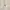 Nike SB Center Veikos GFX Hoodie Light Bone  photo 4