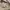 Nike SB Center Veikos GFX Hoodie Light Bone  photo 6