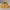 Yellow Satin Flared Skirt
