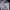 Nike Club Small Logo Hoodie Camouflage  photo 4