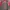 jaket outdoor goretex paclite blackyak red jaket waterproof photo 5