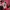 jaket outdoor goretex paclite blackyak red jaket waterproof photo 6