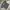 Kaos Star Wars Vintage photo 1