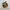 Carhartt WIP Essential Bag Small Hamilton Brown  photo 2