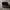 Vans Slip On Skateboarding Pro photo 1