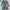 Singlemind Animal Print Dress  photo 1