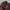 Uniqlo Gorpcore Sportswear Puffer jacket Pria burgundy photo 3