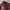 Uniqlo Gorpcore Sportswear Puffer Jacket Pria Burgundy