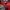 Topi Baseball merah Bordir Logo T KIA photo 8