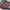 Adidas Blackburn photo 6