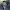 BLANKNYC flare jeans blue bootcut cutbray denim pants photo 6