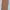 TORY BURCH Perry Small Triple Compartment Tote Light Umber photo 7