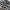 Nike Airmax TN Plus 3 photo 6