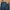 LEVIS 502 BIG E JEANS photo 7