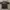 DENNDEV OVERSIZE photo 2