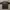 DENNDEV OVERSIZE