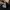 Acme De La Vie  Streetwear Hoody Pria black photo 3