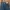 LEVIS 505 BIG E JEANS photo 6