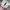 Sneakers Rebook Speed Breeze second photo 4