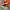 Converse 70s Hi Orange photo 1