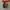 Converse 70s Hi Orange photo 7