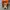 Converse 70s Hi Orange photo 4