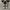 Converse Allstar Hi Black White photo 5