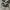 Converse Allstar Hi Black White photo 1