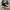 Converse Allstar Hi Black White photo 3