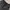 Converse cargo shortpants photo 2
