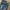 CREATION JEANS FADING photo 5
