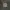 Carhartt Active Jacket Moss Green Alternative RUGGEDMAN USA photo 2