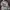New Era NY x Realtree cap Original / Topi new era realtree photo 5