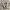 VANS AUTHENTIC  photo 3