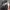 Sneakers Running Nike Airmax Zoom X Pegasus photo 6