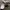 Sneakers Running Nike Airmax Zoom X Pegasus photo 2