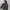 Jaket outdoor Snowboard Hellyhansen  photo 3