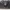 Miu Miu Vintage Shoulder bag Wanita black photo 1