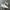 Sepatu Nike Court Vision Low Full White photo 1