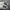 Sepatu Nike Court Vision Low Full White photo 6