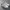 Sepatu Nike Court Vision Low Full White photo 8