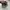 Salomon XT 6FT photo 3