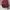 Michael Kors Casual Backpack Wanita red photo 2