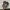 Nike Running Vaporfly photo 4