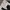 Dickes doublle kne Black 30x32 photo 8