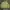 Musinsa Standard Streetwear Y2K Hoody Pria green khaki photo 2