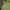 Musinsa Standard Streetwear Y2K Hoody Pria green khaki photo 3