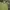 Musinsa Standard Streetwear Y2K Hoody Pria green khaki photo 4