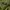 Musinsa Standard Streetwear Y2K Hoody Pria green khaki photo 5