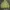 Musinsa Standard Streetwear Y2K Hoody Pria green khaki photo 8
